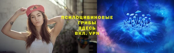 спиды Арсеньев