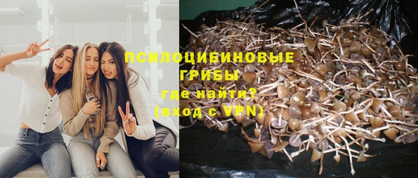 гашиш Аркадак