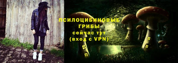 спиды Арсеньев